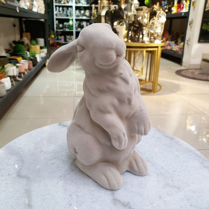 Conejo gris gamuzado