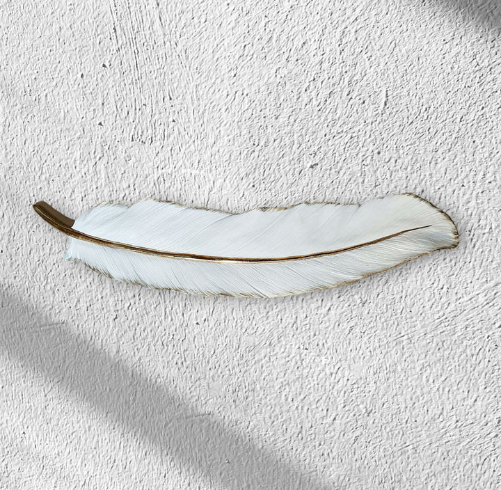 Pluma para pared color Blanco