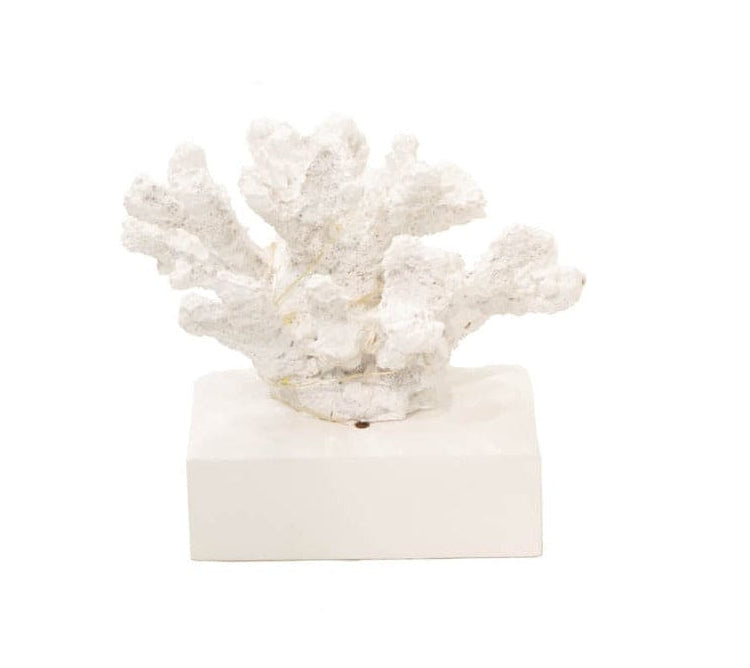 Coral de resina con luces