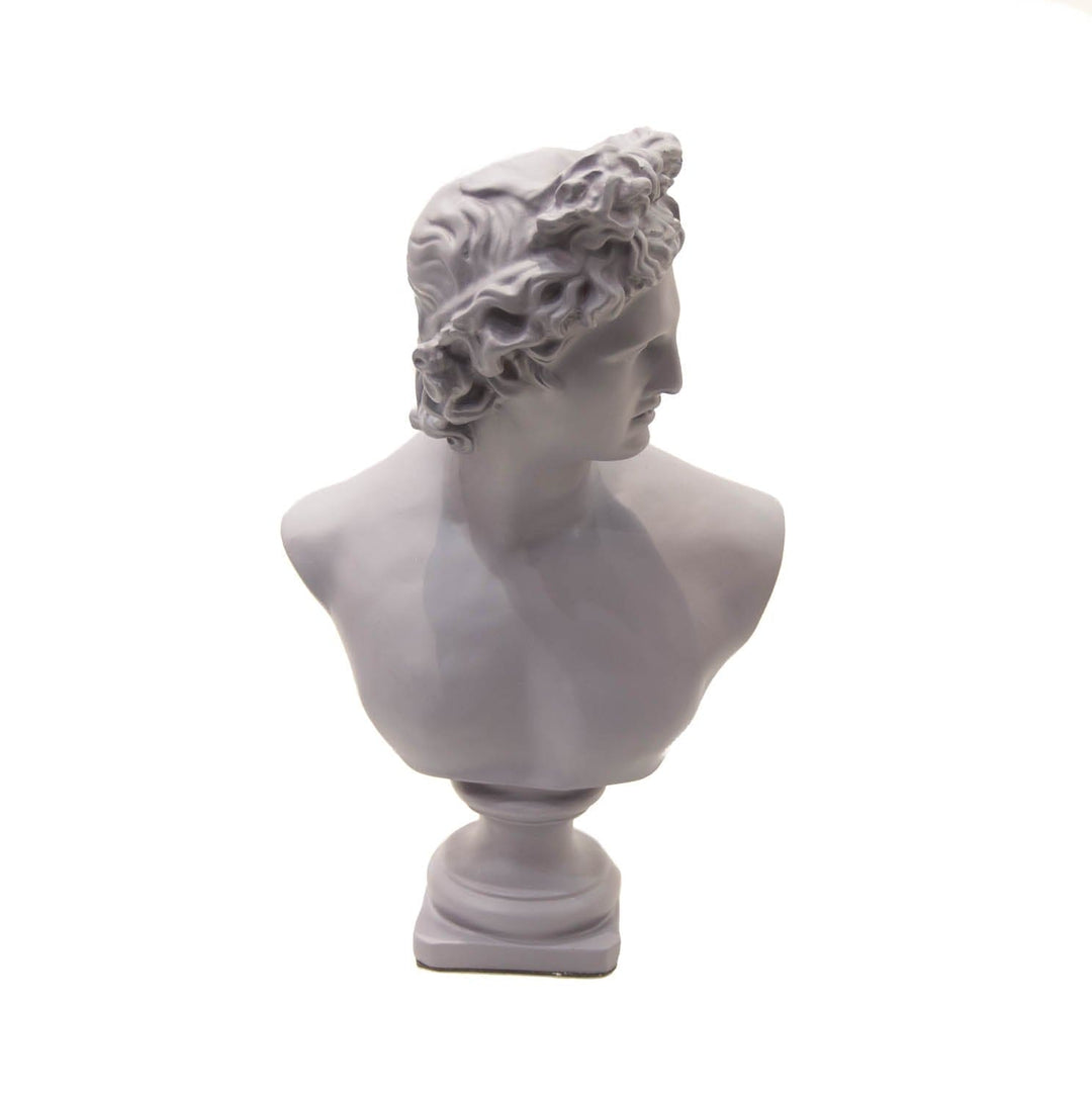 Busto Apolo Color Purpura