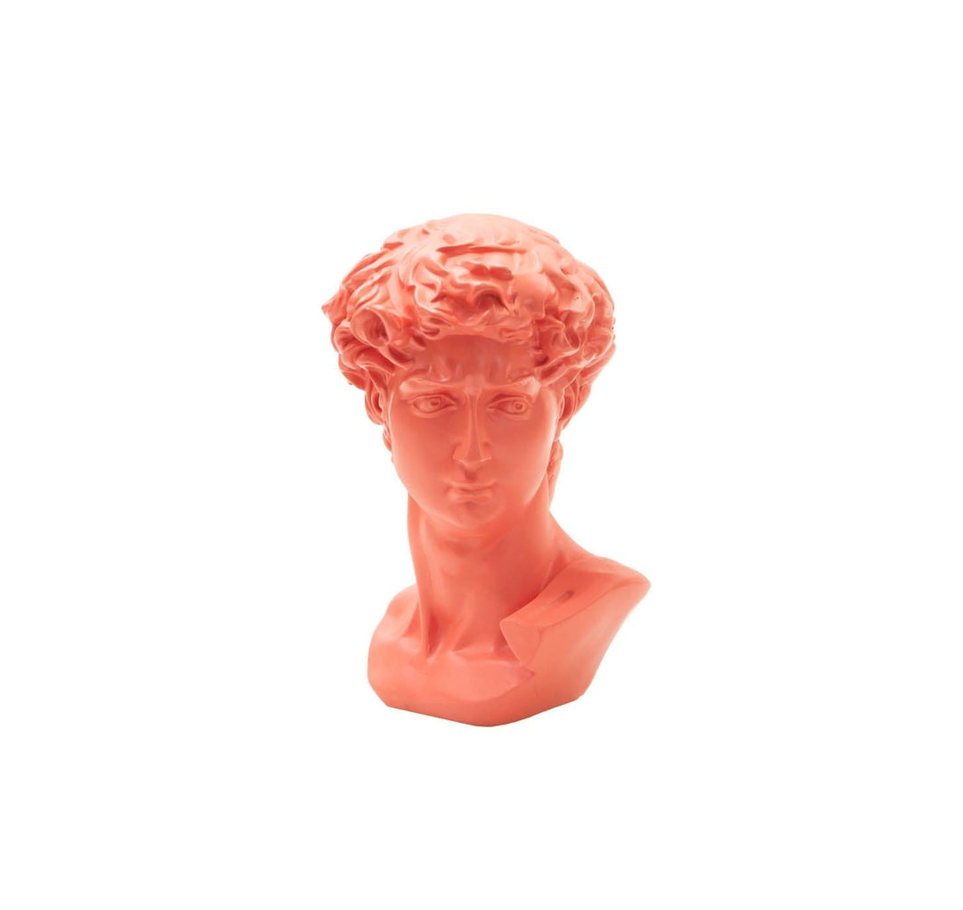 Busto Mini David Rosa