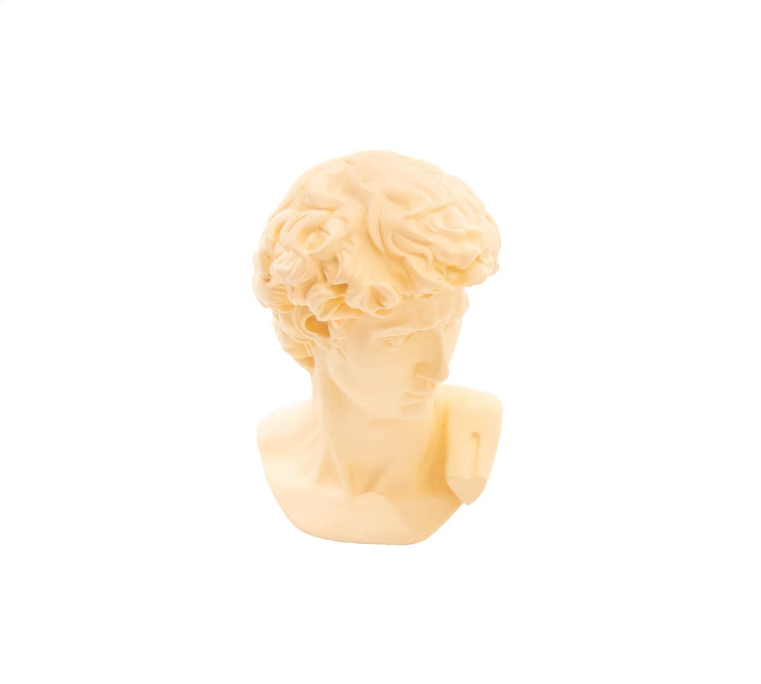 Busto Mini David Damasco