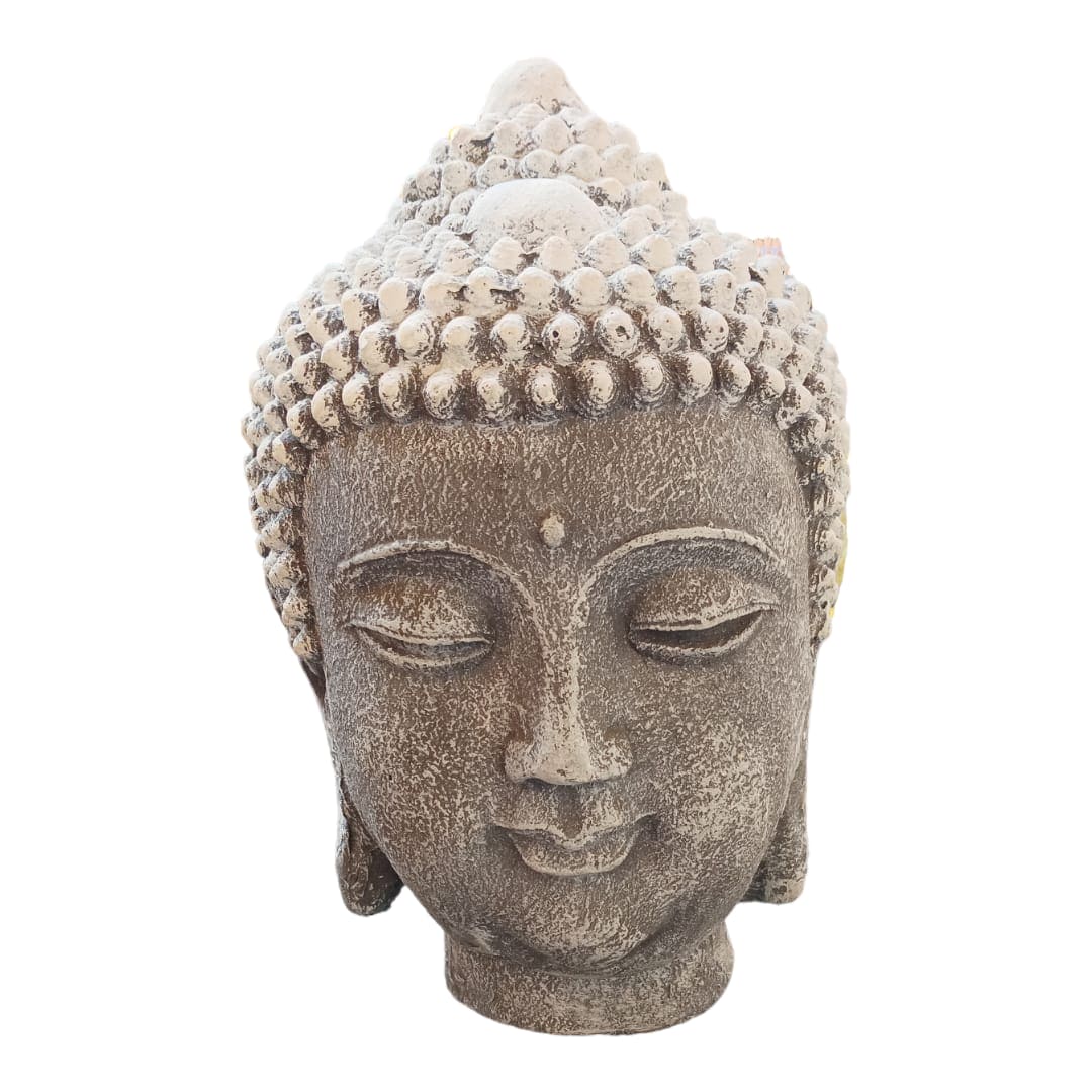 Cabeza Buda color gris