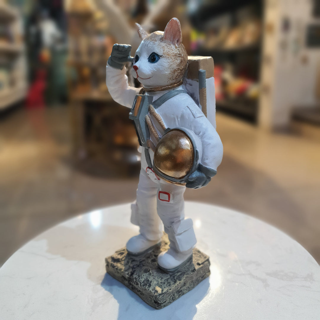 Gato Astronauta B