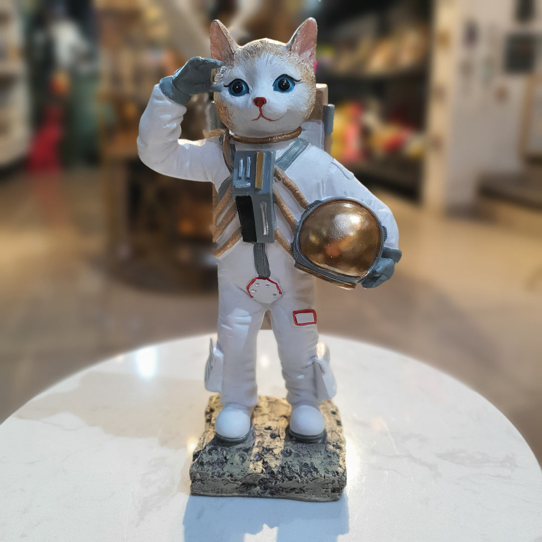 Gato Astronauta B