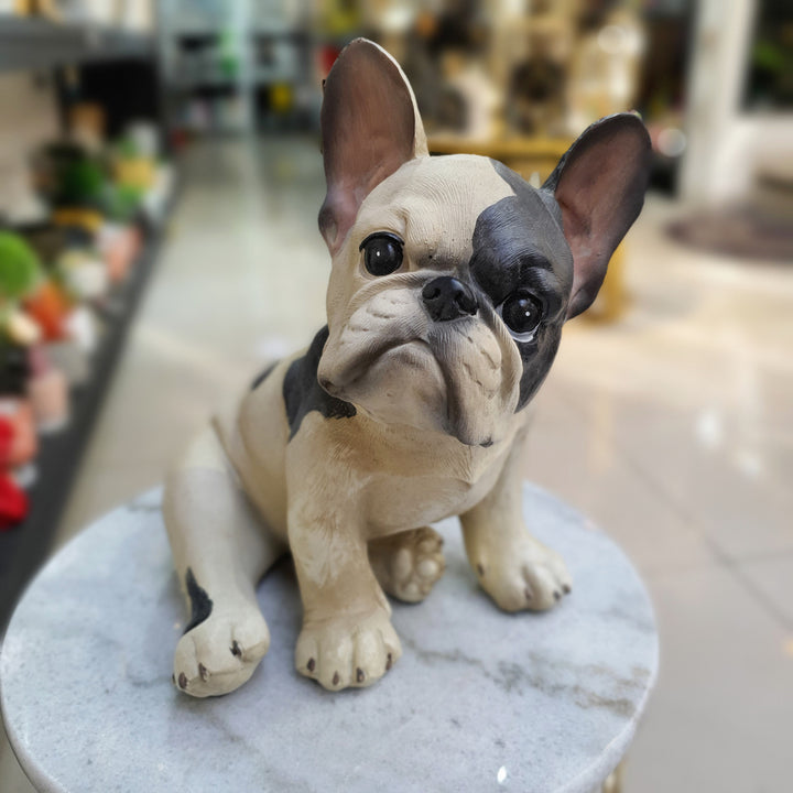 Perro Bulldog Frances con Manchas Sentado
