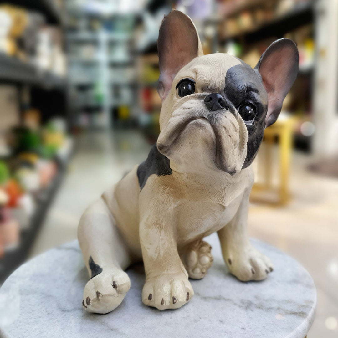 Perro Bulldog Frances con Manchas Sentado