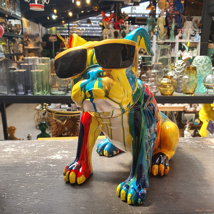 Perro  Lentes Colores