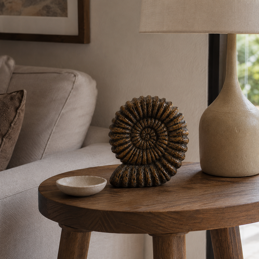 Adorno Fosil Amonites CASONA DECO decoración 