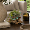 Cuenco Decorativo de vidrio con base de madera