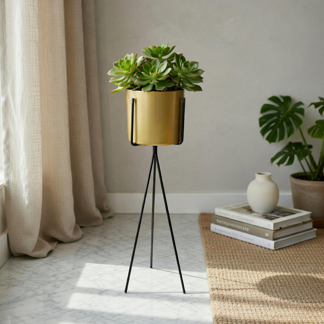 Porta Maceta dorada con pedestal negro CASONA DECO