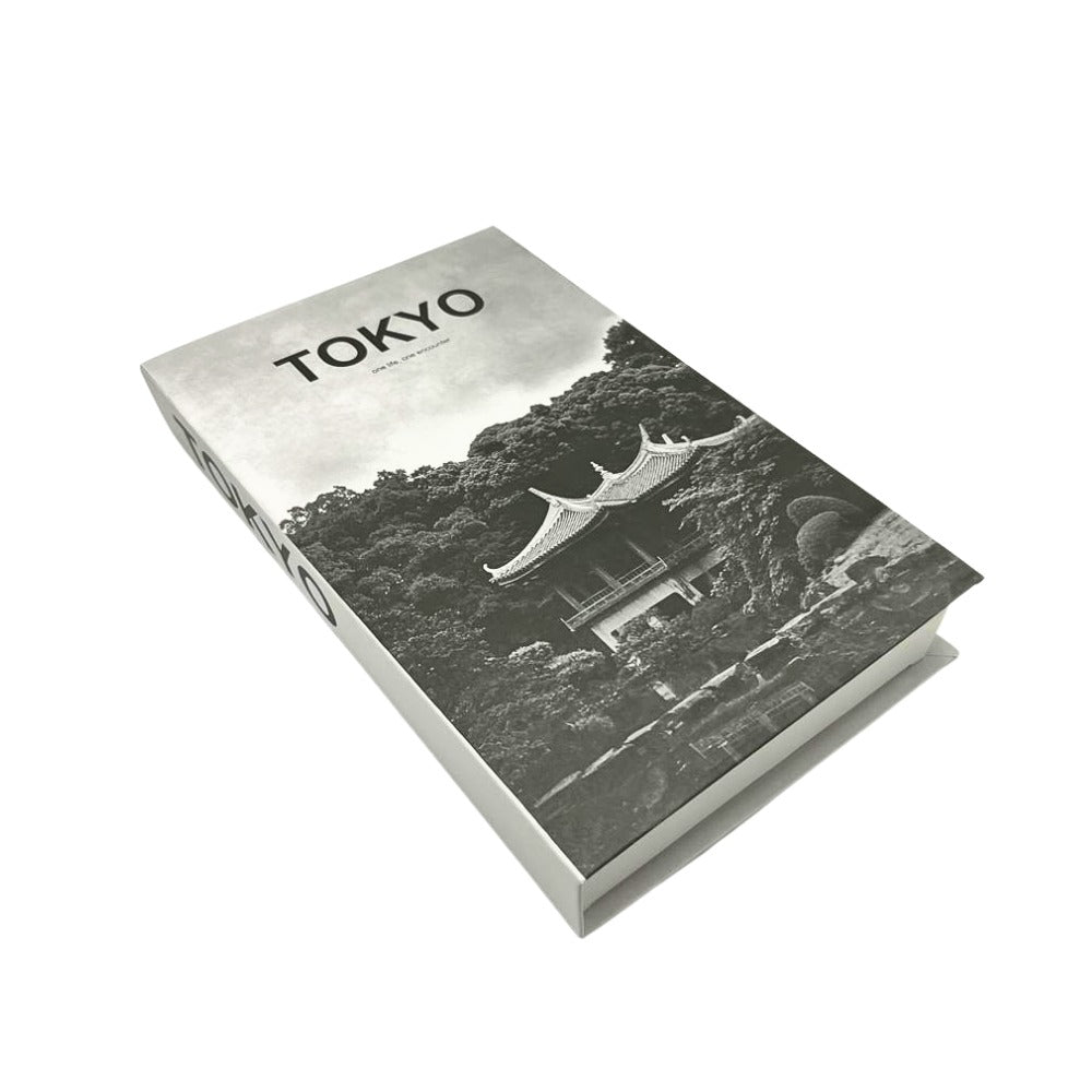 Libros decorativos L