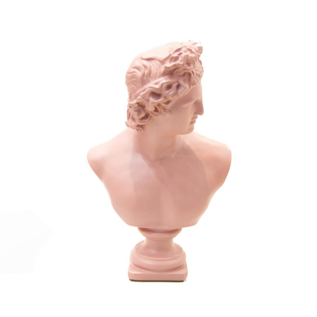 Busto Apolo Color Rosa W8000-107