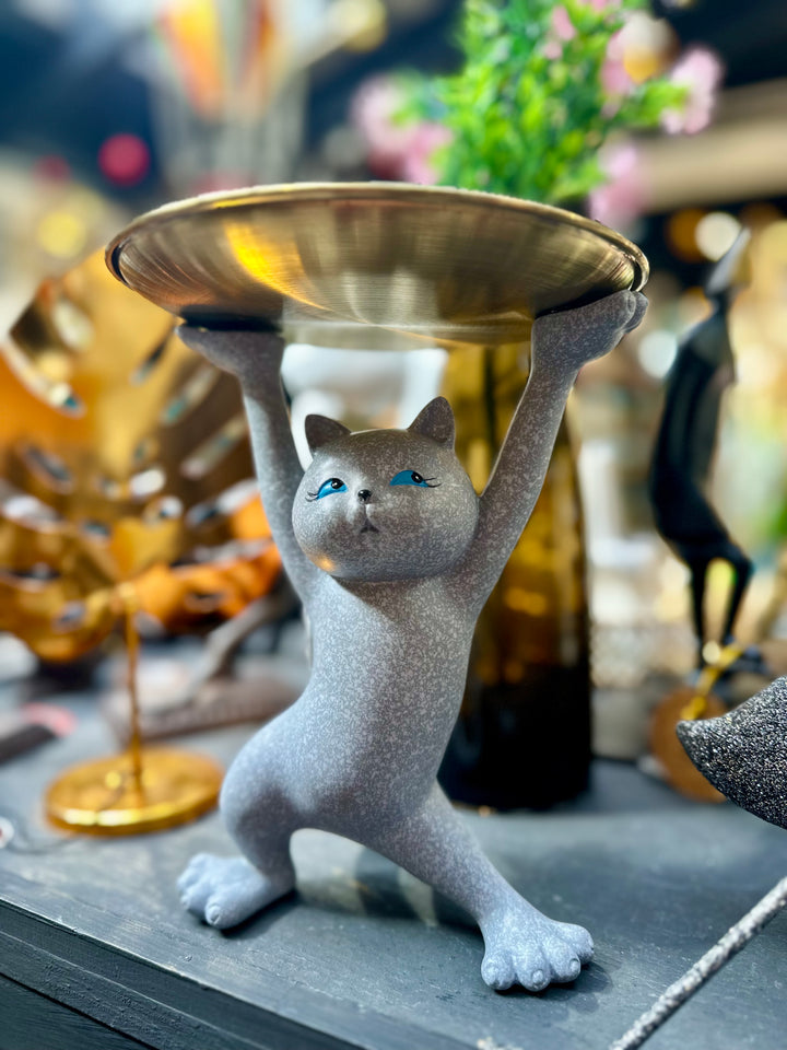 Gato Bandeja
