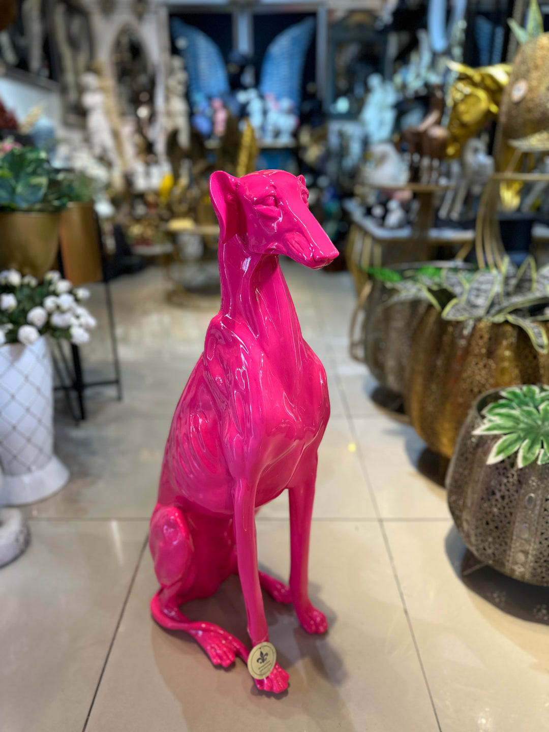 Perro Galgo color Rosado