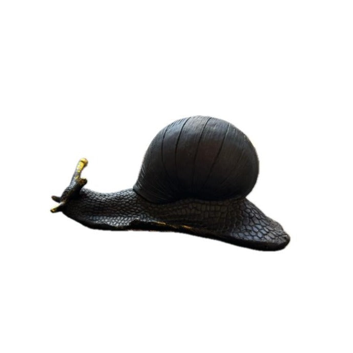 Caracol Negro con Dorado