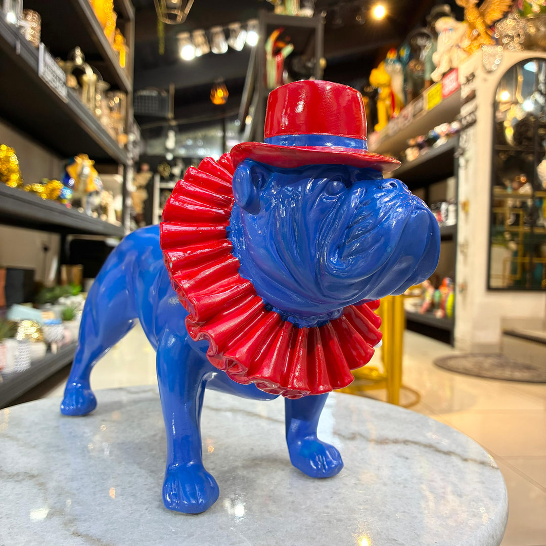 Perro Bulldog ingles azul con rojo