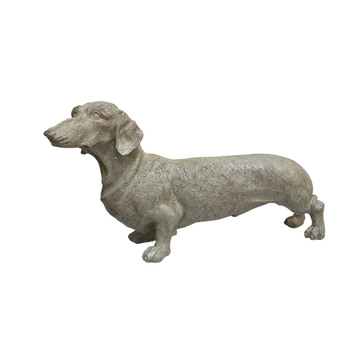 Perro Salchicha color Gris