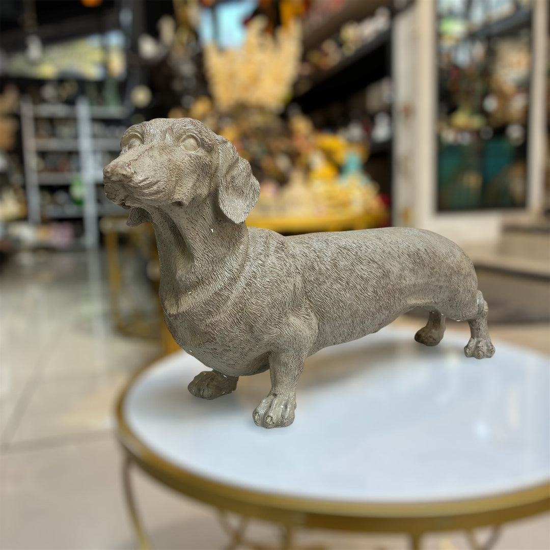 Perro Salchicha color Gris