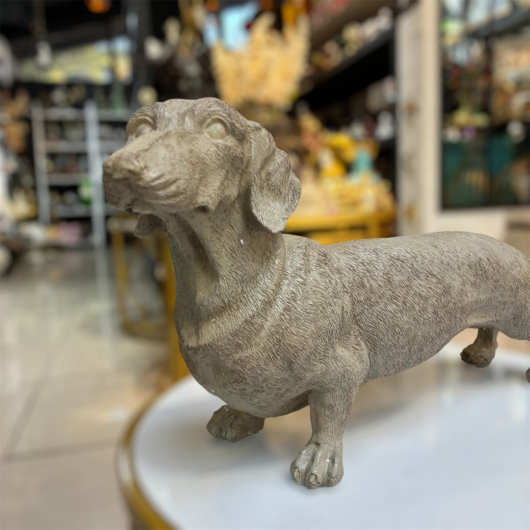 Perro Salchicha color Gris