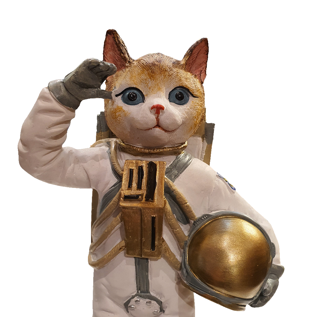 Gato Astronauta A