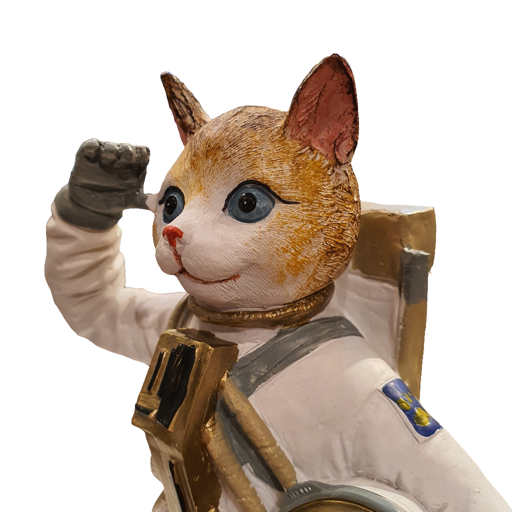 Gato Astronauta A