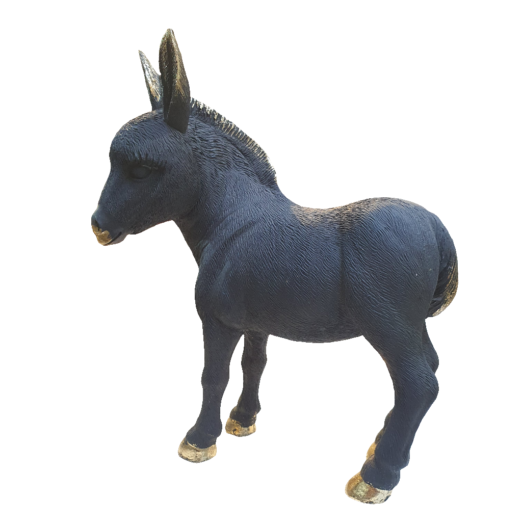 Burro Negro Y Dorado Ny9259900