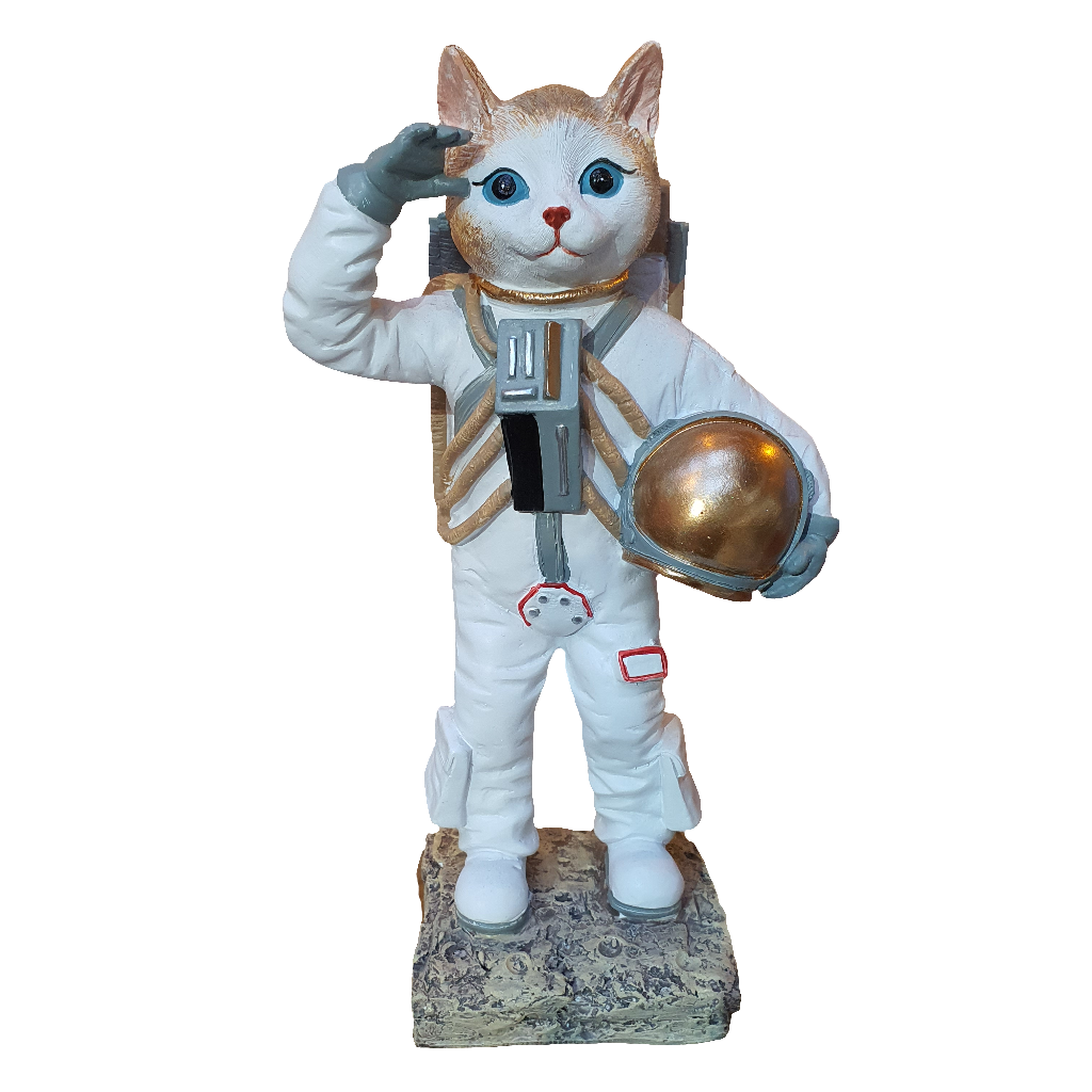 Gato Astronauta B