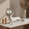 Perro Salchicha Blanco