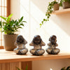 Set Budas Sabios Plateado M