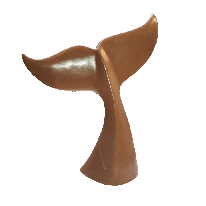 Cola de Ballena Café CASONA DECO