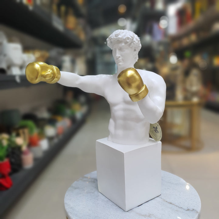 David Boxeador CASONA DECO decoracion
