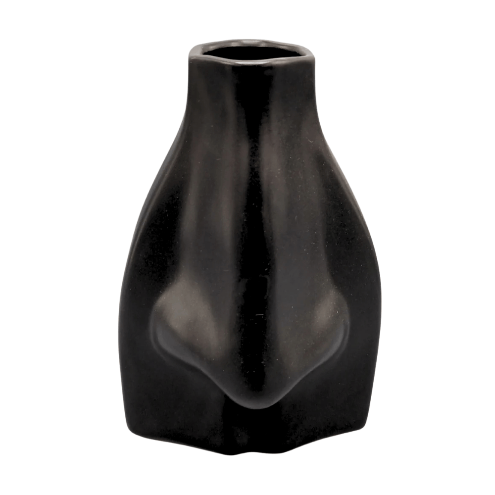 Maceta Nariz Negra 21B40B CASONA DECO