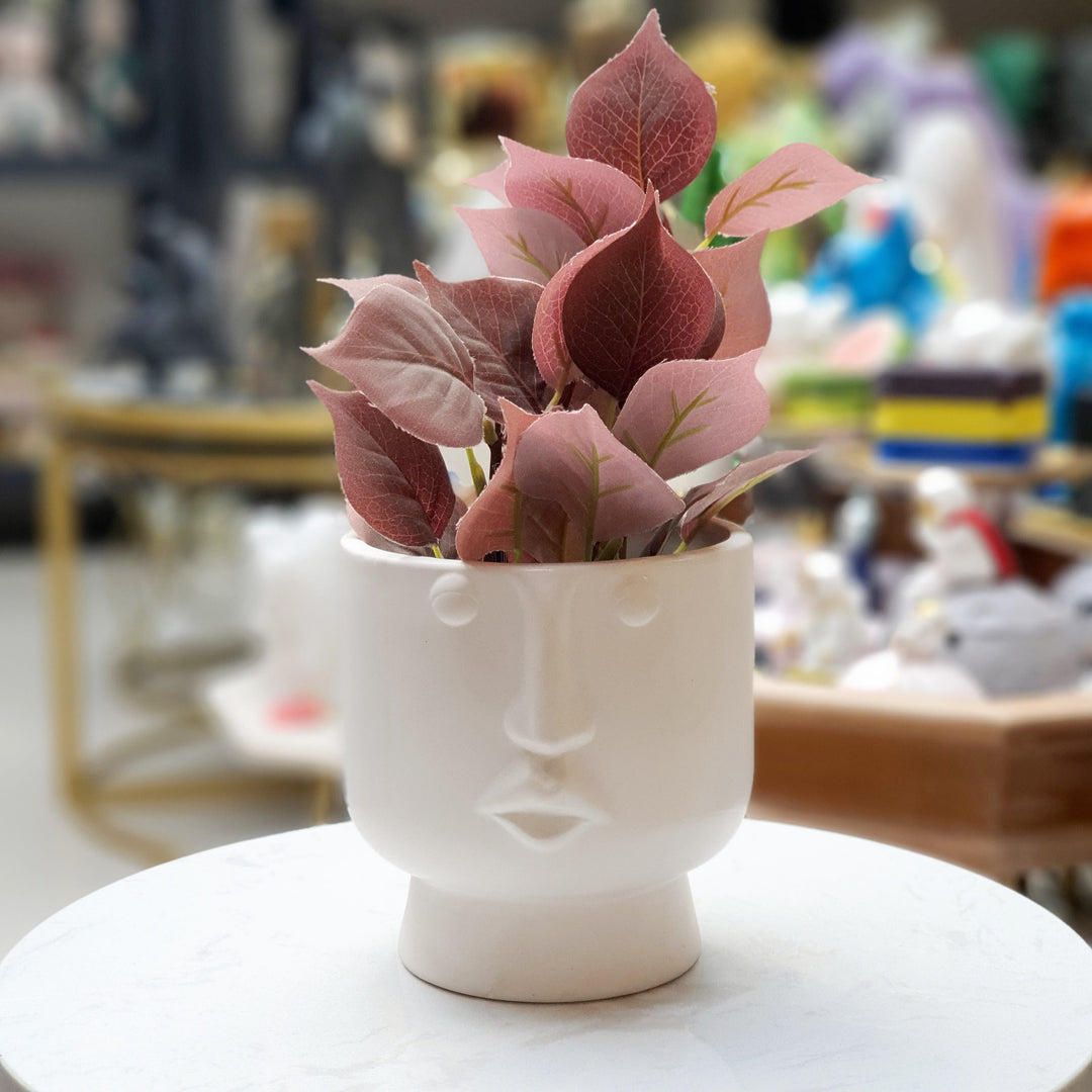 Mini Maceta Cara Blanca 7879-2018 CASONA DECO