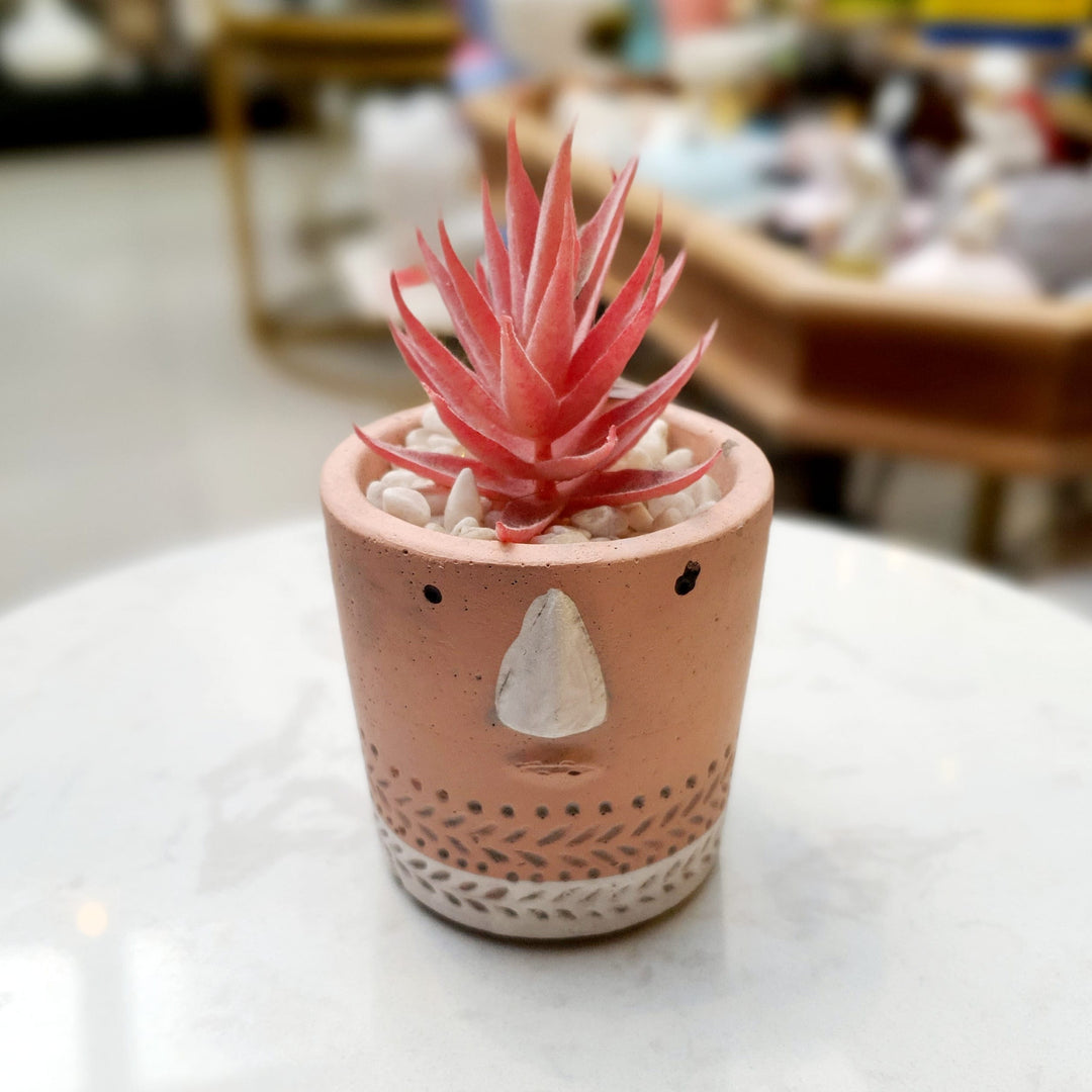 Mini Suculenta Rosa Mph0041G CASONA DECO