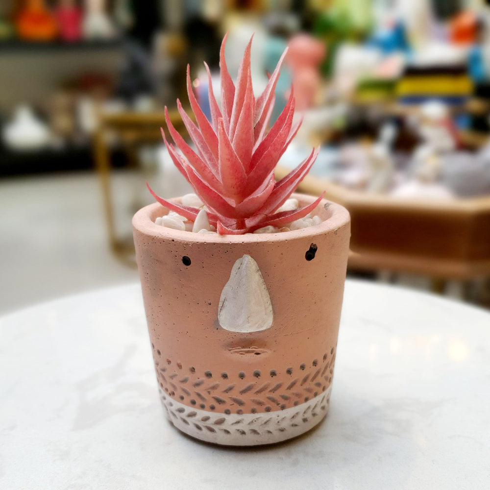 Mini Suculenta Rosa Mph0041G CASONA DECO