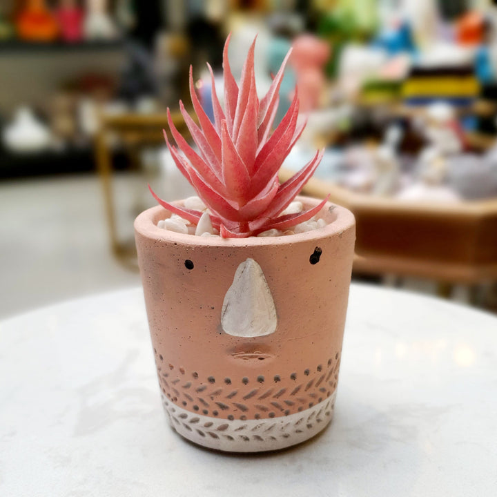 Mini Suculenta Rosa Mph0041G CASONA DECO