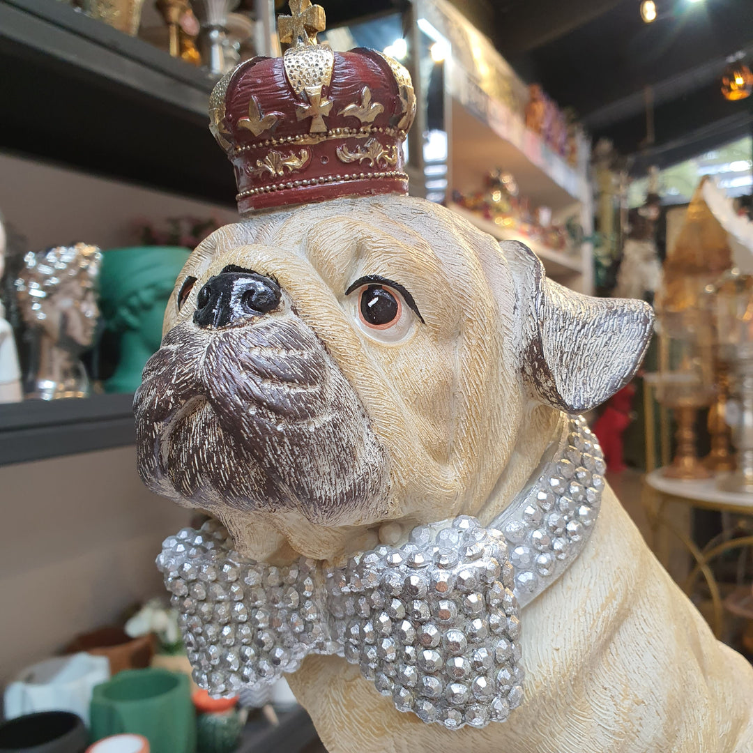 Perro Pug Corona Alcancia CASONA DECO
