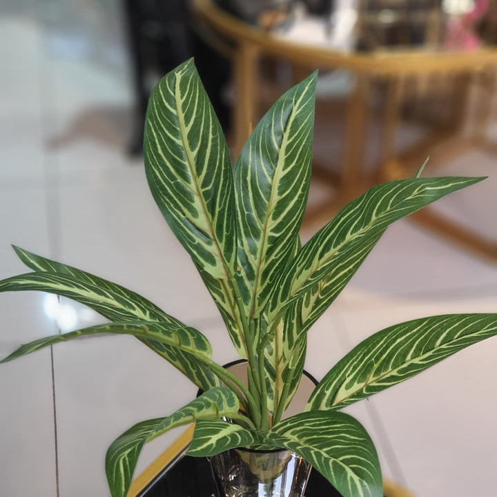Planta Artificial Cebra 45cm CASONA DECO plantas