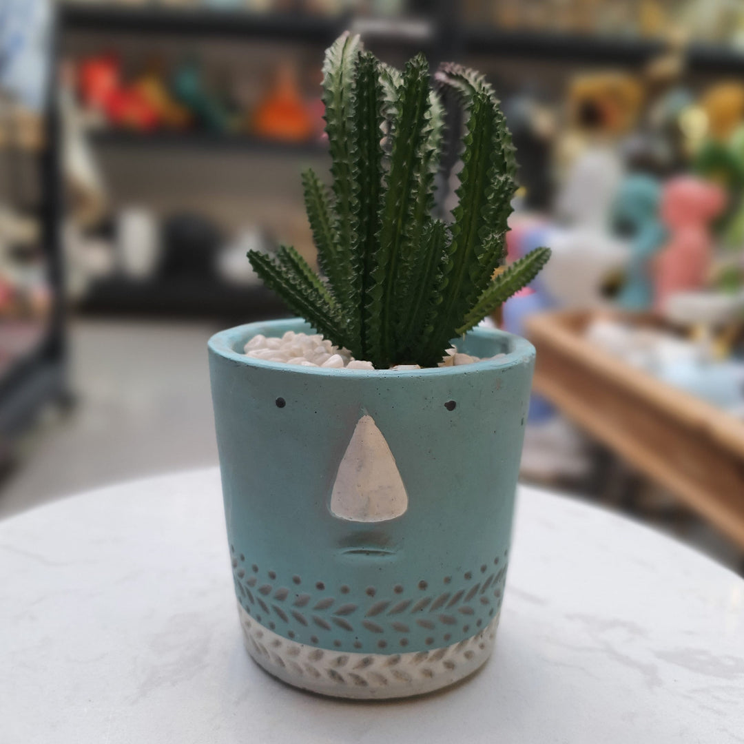 Suculenta M CASONA DECO plantas