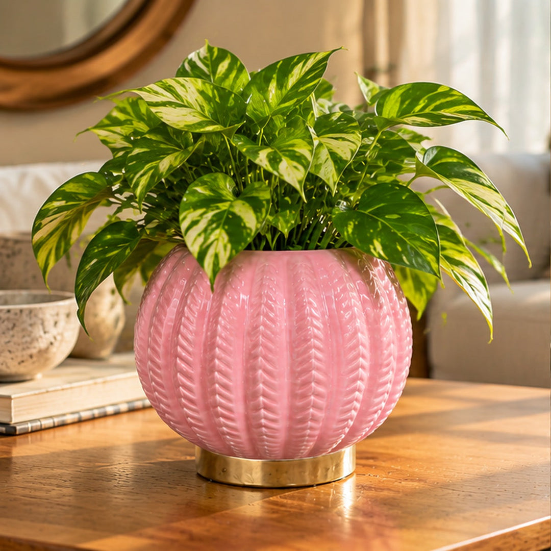 Florero rosado con planta verde sobre mesa de madera