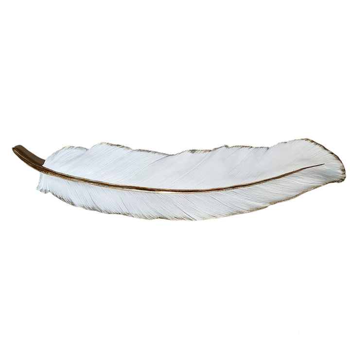 Pluma para pared Blanco CASONA DECO decoracion