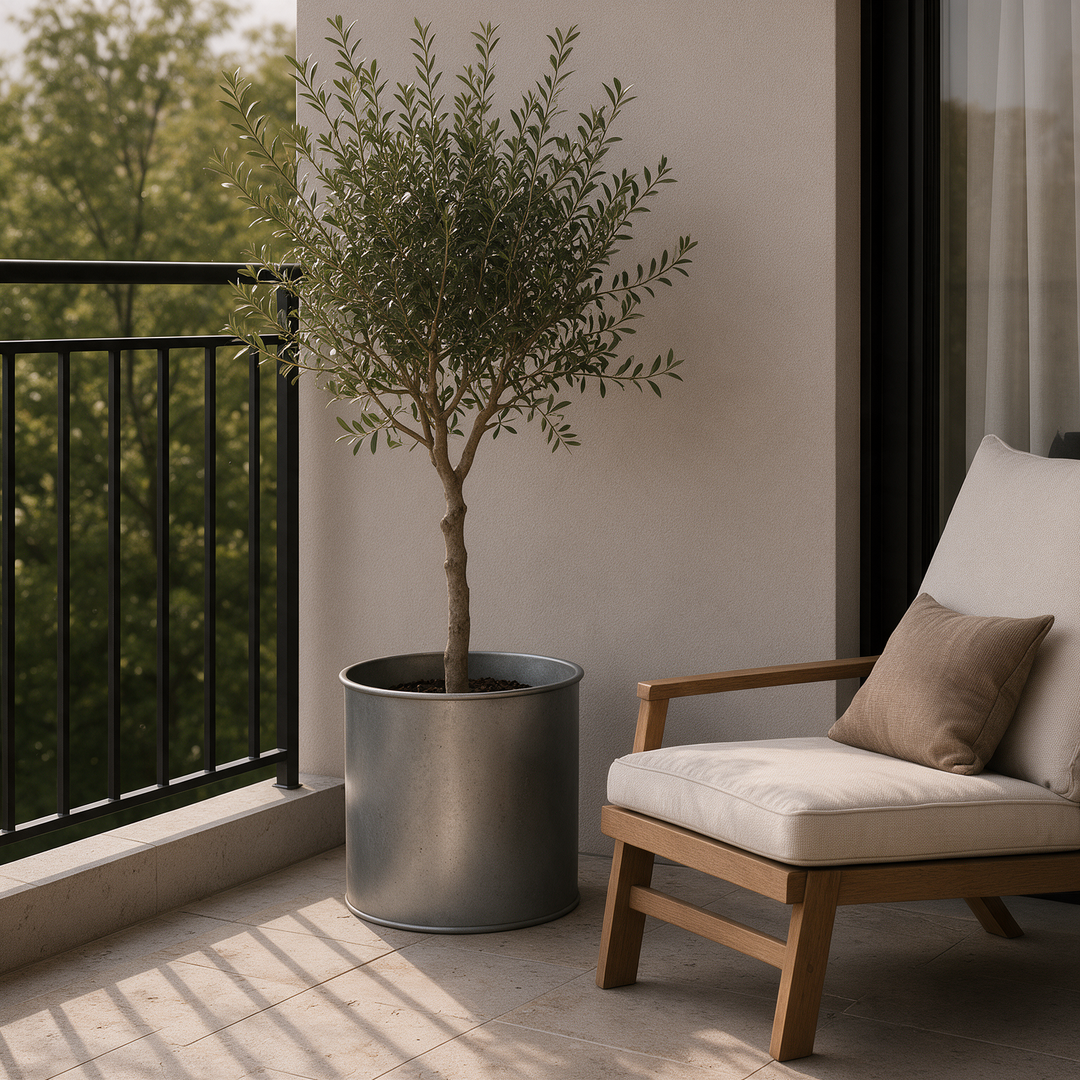 Porta maceta cilíndrico gris mate tamaño grande con olivo en terraza Casona Deco