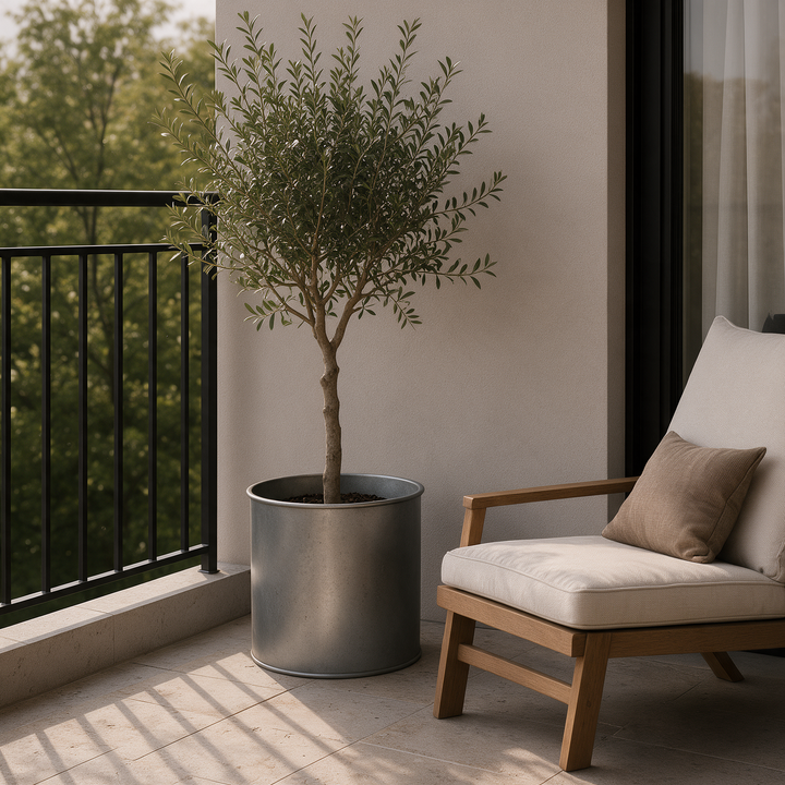 Porta maceta cilíndrico gris mate tamaño grande con olivo en terraza Casona Deco