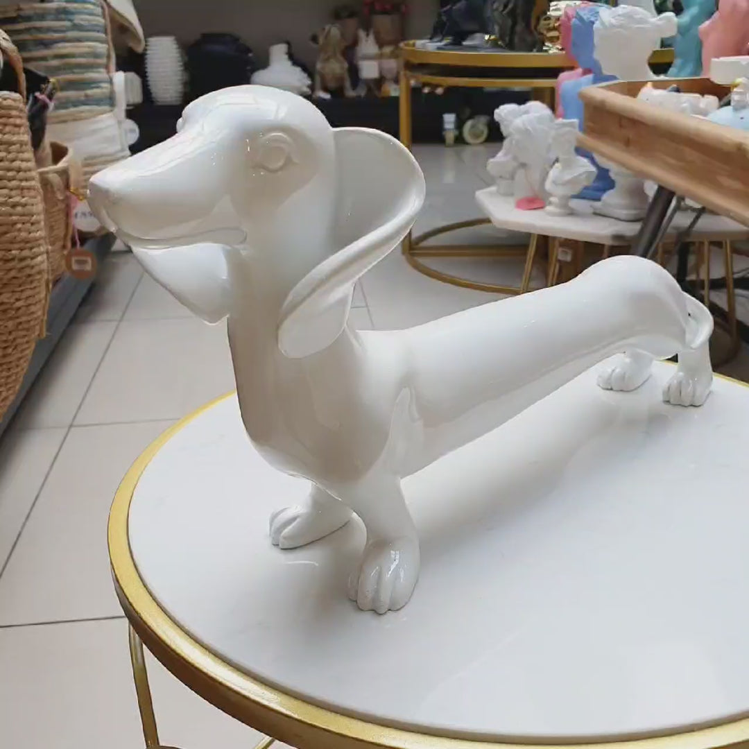 Perro Salchicha Blanco