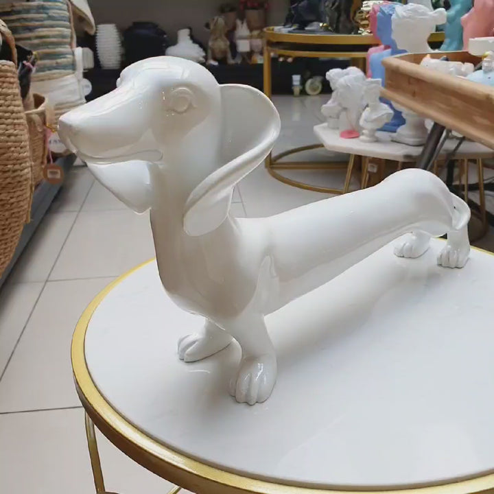 Perro Salchicha Blanco