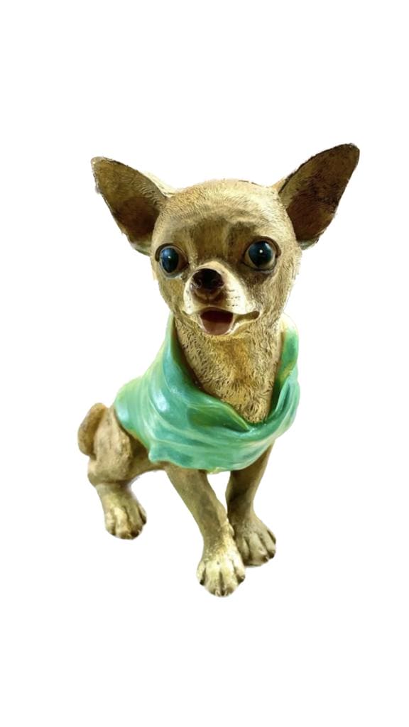 Perro Chihuahua Sentado