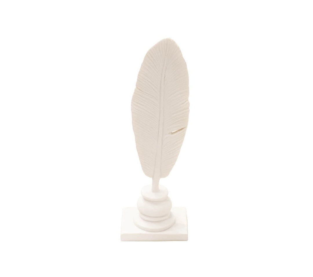 Pluma Blanca Ly0007-6