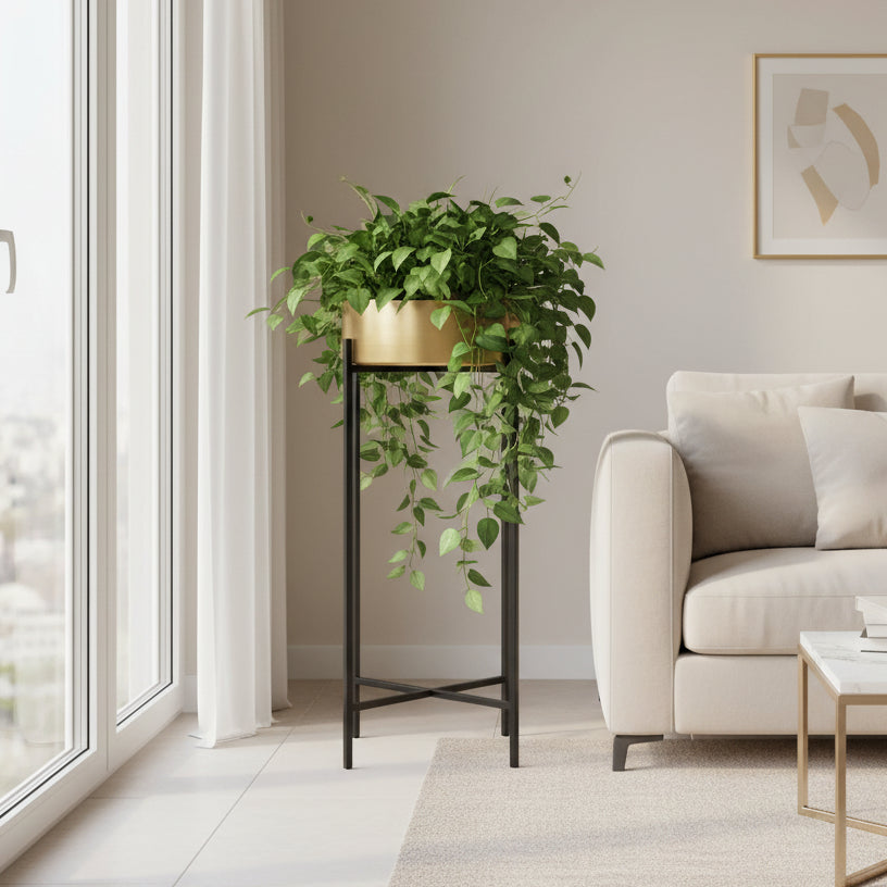 Porta Maceta Bandeja Grande