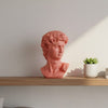 Busto Mini David Rosa